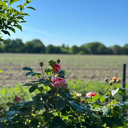 Schone Ferienwohnung Im Grunen - 5 Minuten Vom Schloss Dankern Entfernt Haren Buitenkant foto